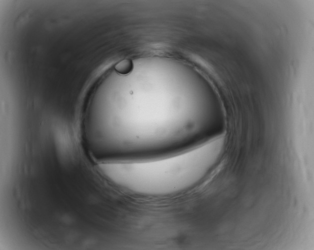 X0000099981410200805231013