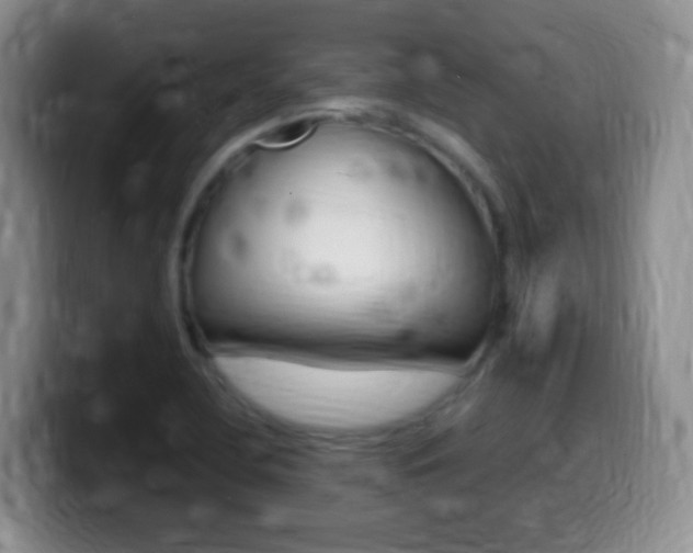 X0000099981412200805231013
