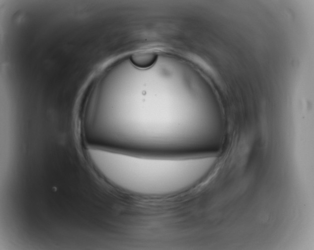 X0000099981414200805231013