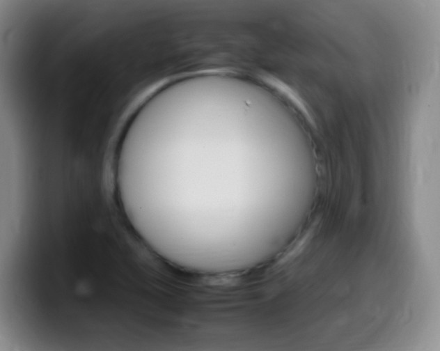X0000099981415200805231013