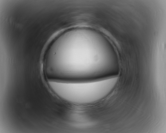 X0000099981416200805231013