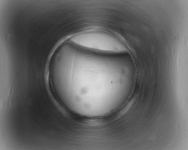 X0000099981418200805231013