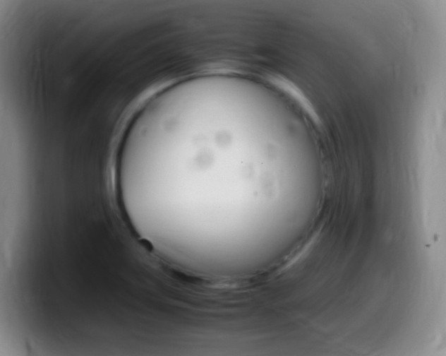 X0000099981419200805231013