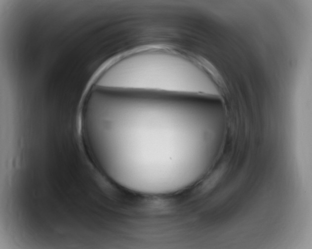 X0000099981420200805231013