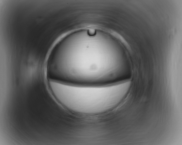 X0000099981424200805231013