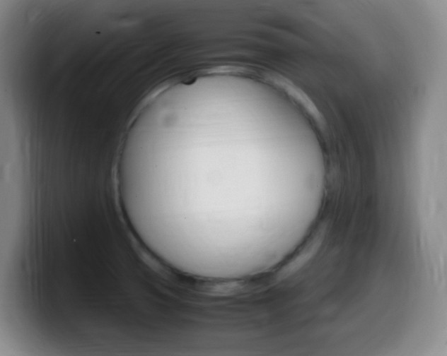 X0000099981425200805231013