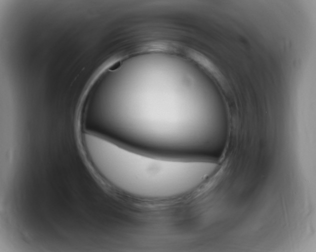 X0000099981426200805231013