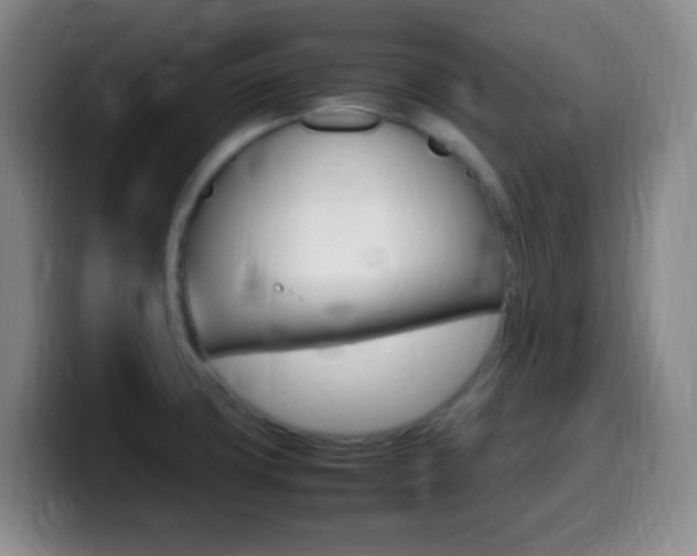 X0000099981427200805231013