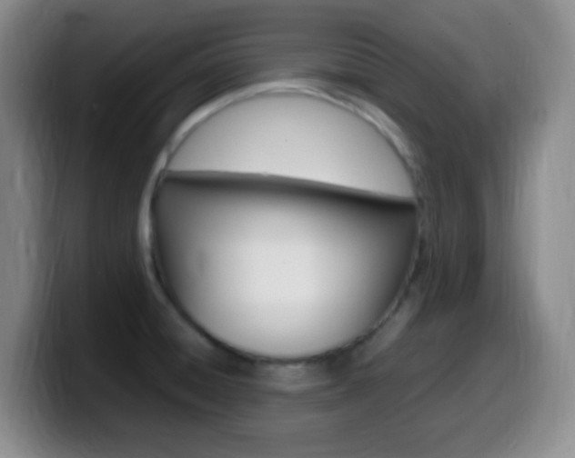 X0000099981428200805231013