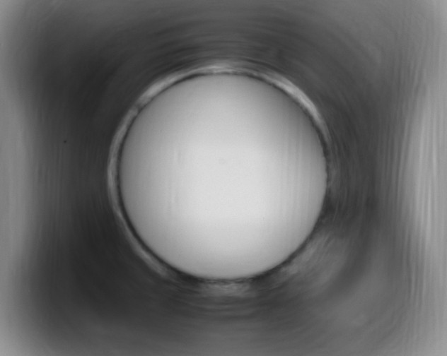 X0000099981429200805231013