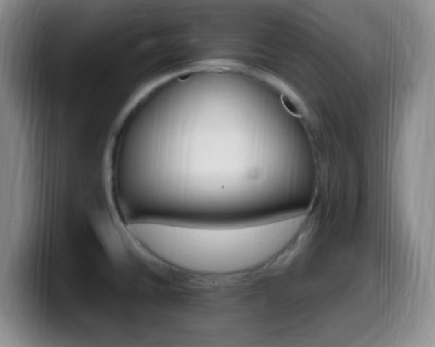 X0000099981430200805231013