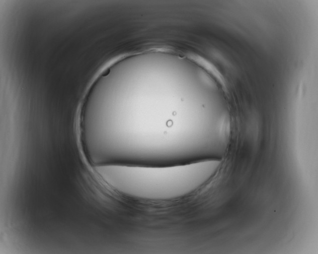 X0000099981431200805231013