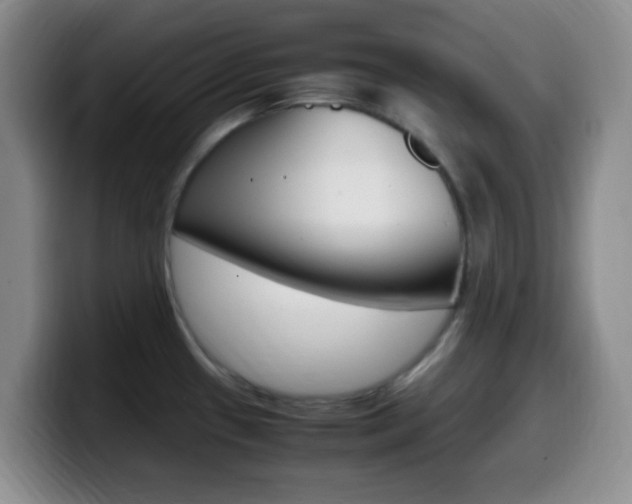 X0000099981433200805231013