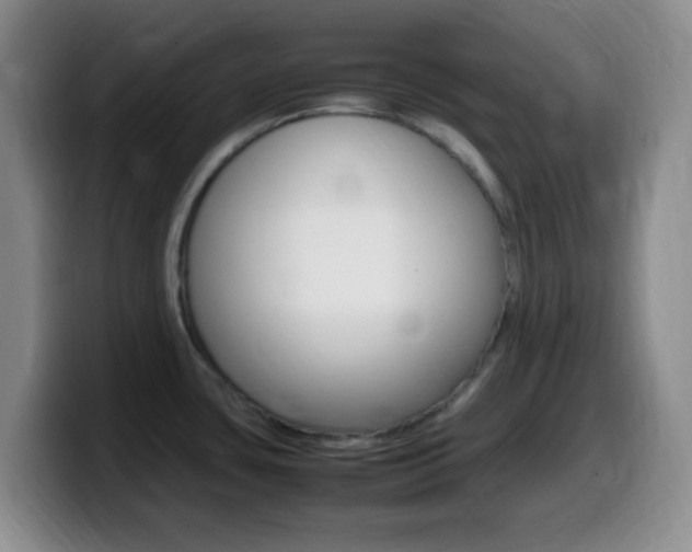 X0000099981435200805231013