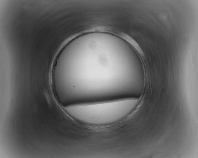 X0000099981436200805231013