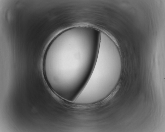 X0000099981438200805231013