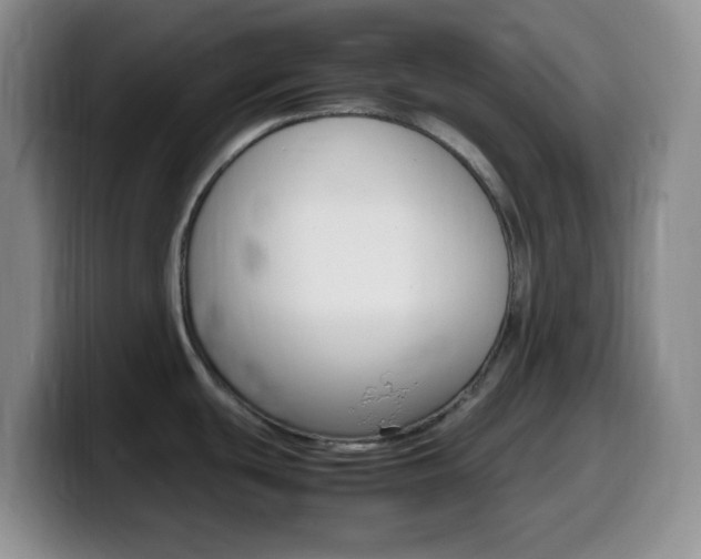 X0000099981439200805231013