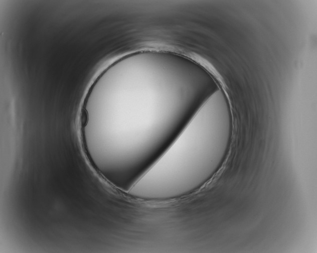 X0000099981440200805231013