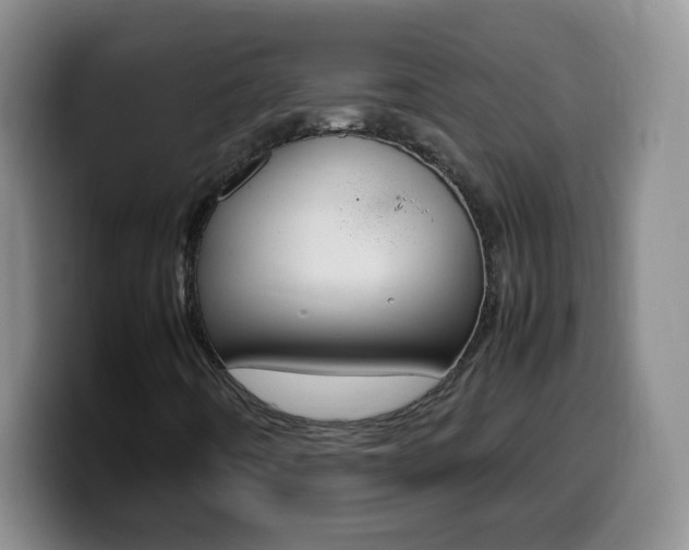 X0000099981442200805231013
