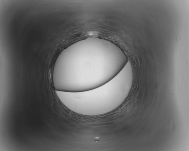 X0000099981443200805231013