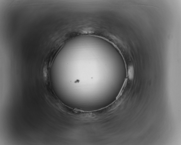 X0000099981444200805231013