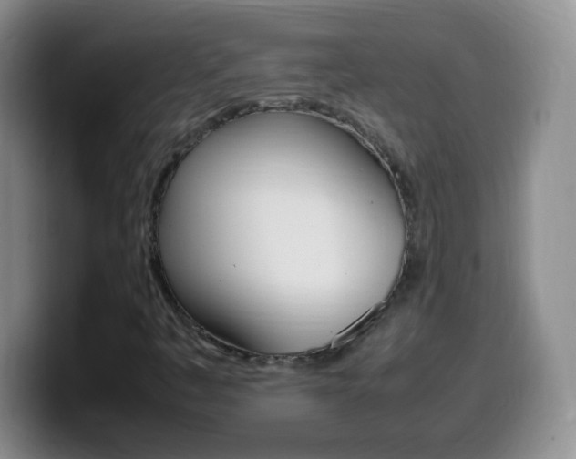 X0000099981445200805231013