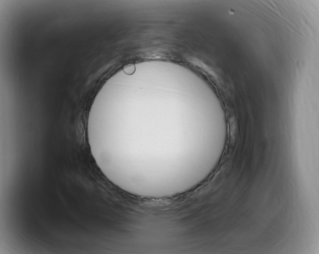 X0000099981446200805231013