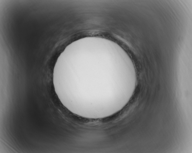X0000099981447200805231013