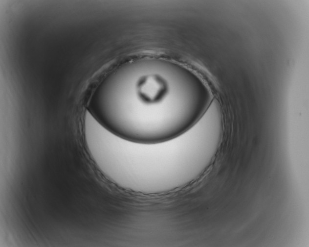 X0000099981448200805231013