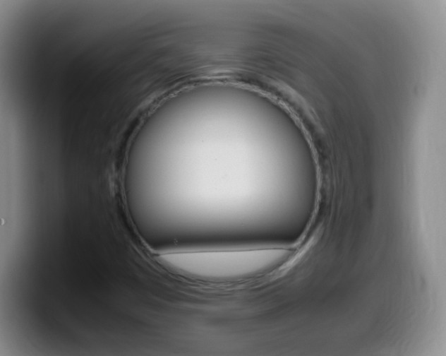 X0000099981449200805231013