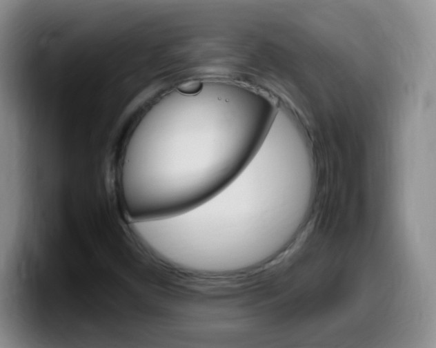X0000099981450200805231013