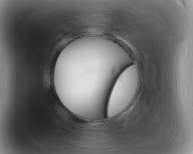 X0000099981451200805231013