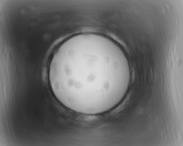 X0000099981454200805231013