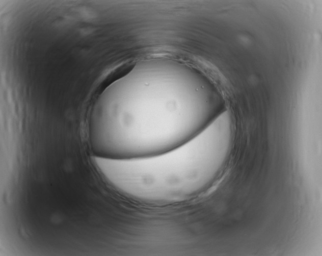 X0000099981457200805231013