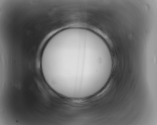 X0000099981462200805231012