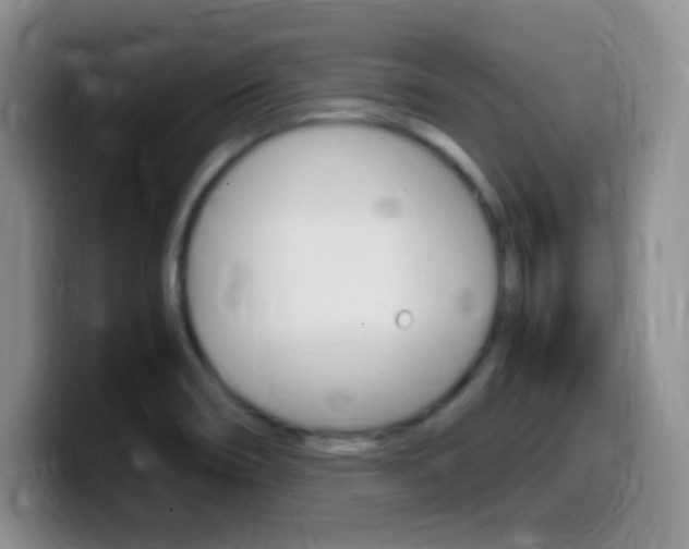 X0000099981466200805231012