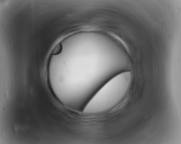 X0000099981467200805231012