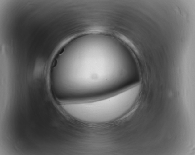 X0000099981469200805231012