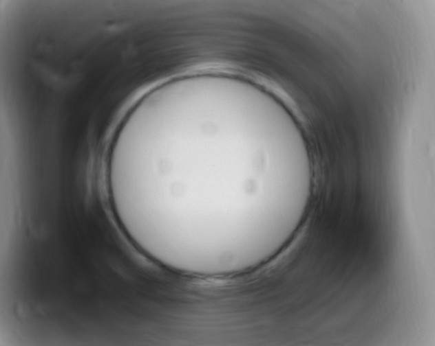 X0000099981470200805231012