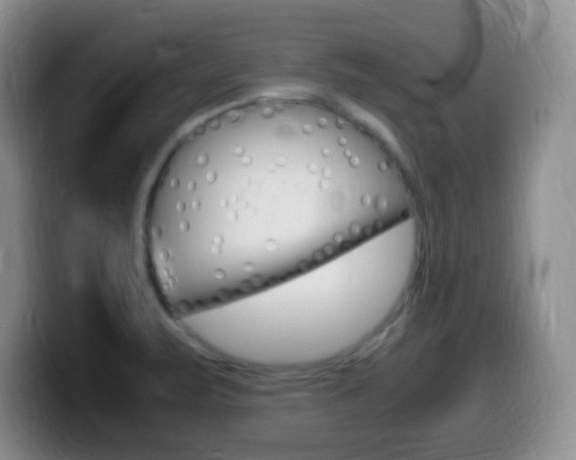 X0000099981471200805231012
