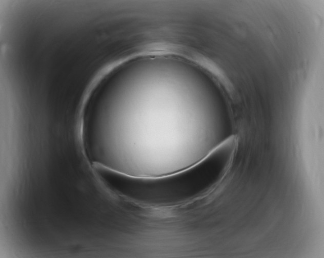 X0000099981472200805231012