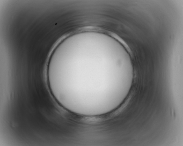 X0000099981474200805231012