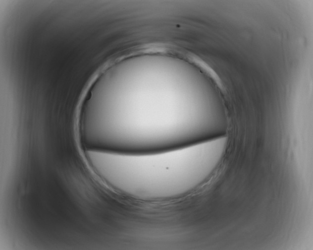 X0000099981475200805231012