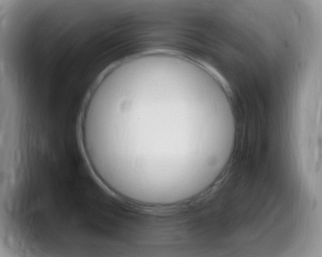 X0000099981476200805231012