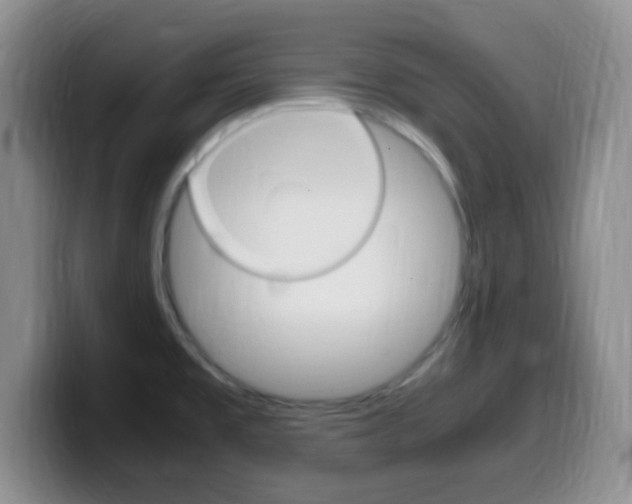 X0000099981477200805231012