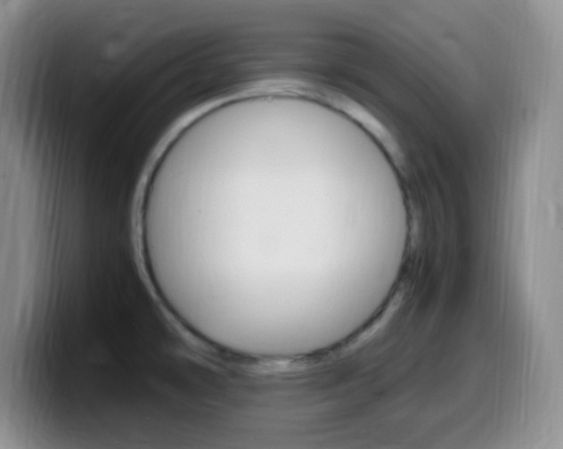 X0000099981478200805231012