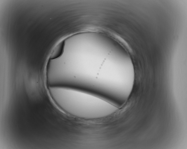 X0000099981479200805231012