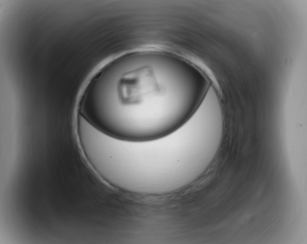 X0000099981480200805231012