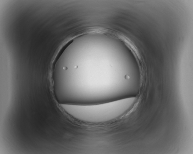 X0000099981481200805231012