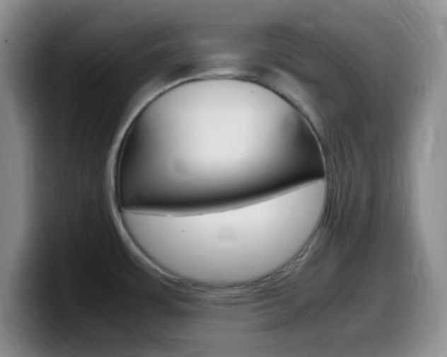 X0000099981483200805231012